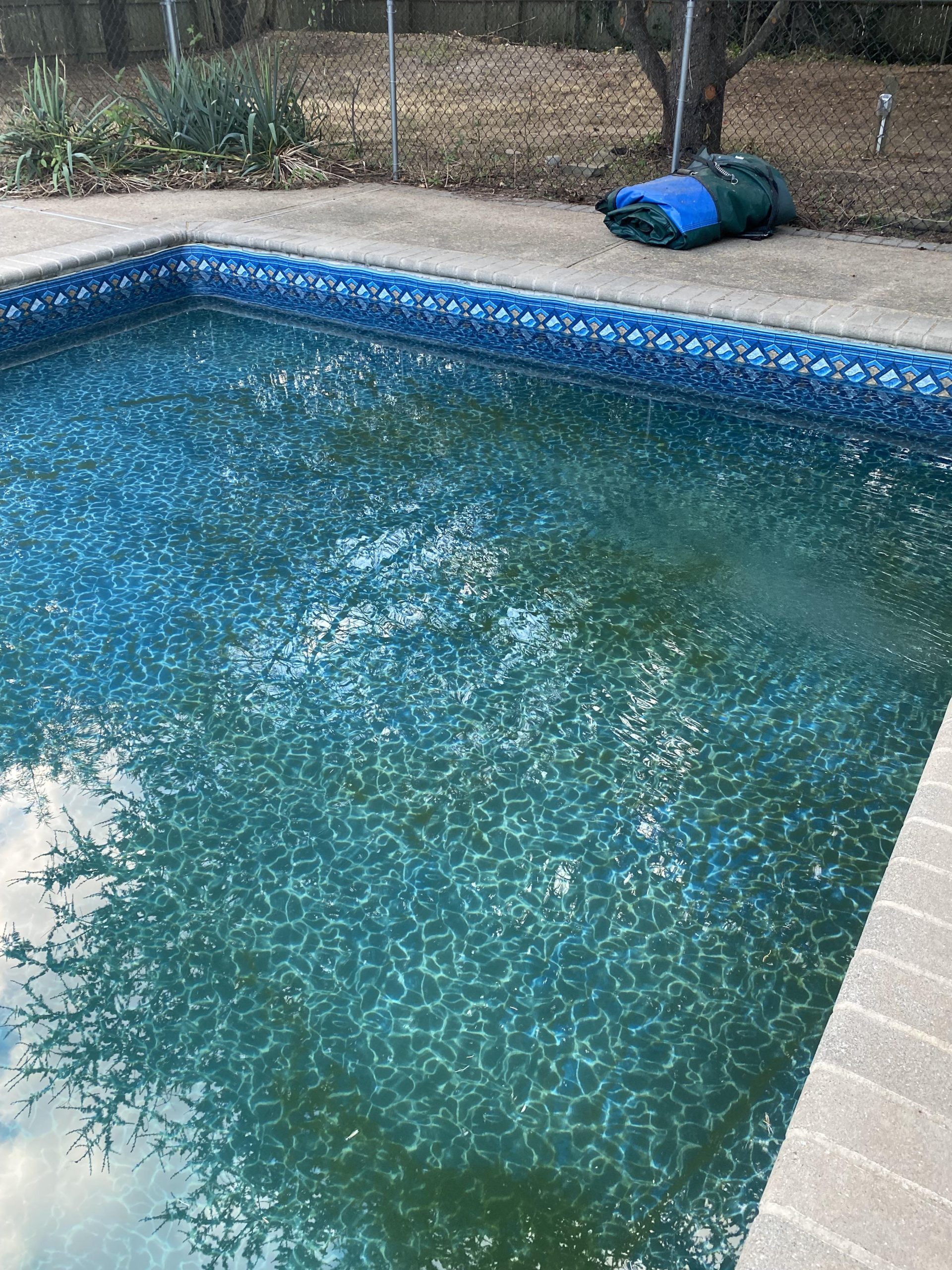 Pool Vacuums for Algae