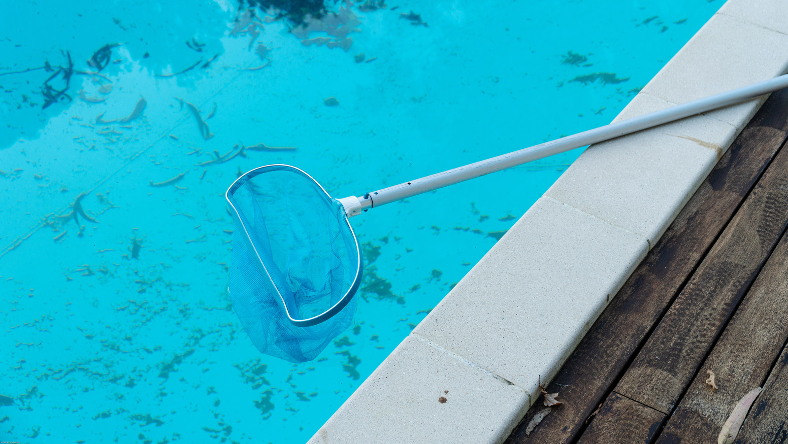 Pool Vacuums for Algae